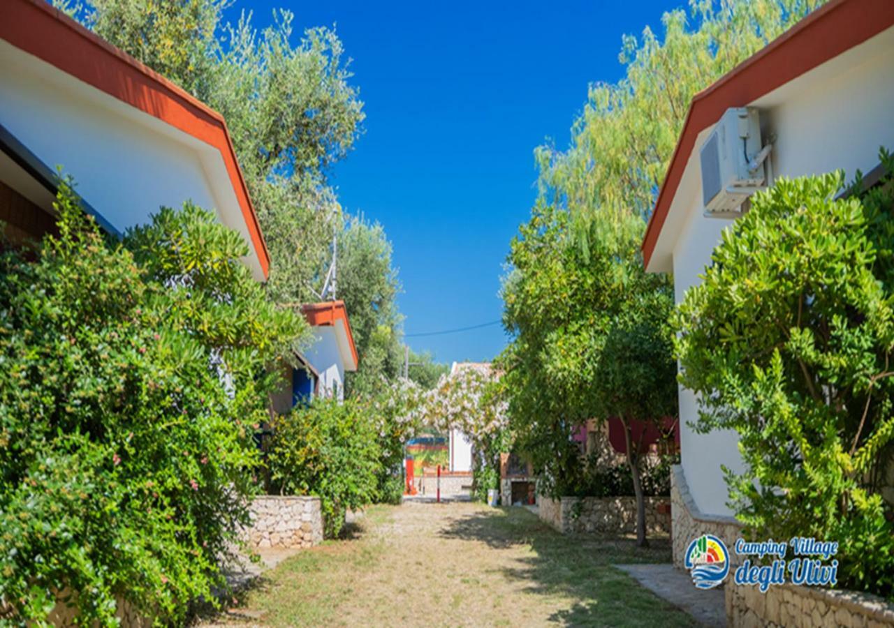 Camping Village Degli Ulivi Mattinata Zewnętrze zdjęcie